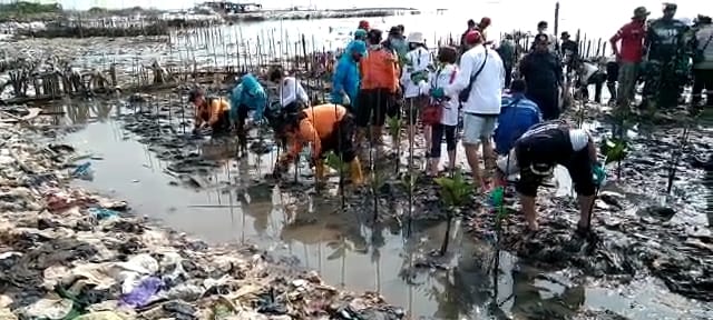 Hari Lingkungan Hidup Sedunia, Pelindo dan Kelompok Tani Lakukan ini di Pesisir Cirebon