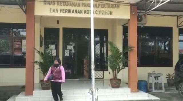 PMK Meresahkan Jelang Idul Adha, DKPPP Kota Cirebon Lakukan Hal Ini