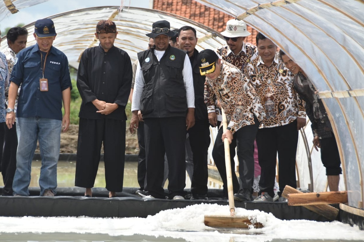 Pj Bupati Cirebon Panen Garam di Losari, Ini Janjinya Kepada Petani