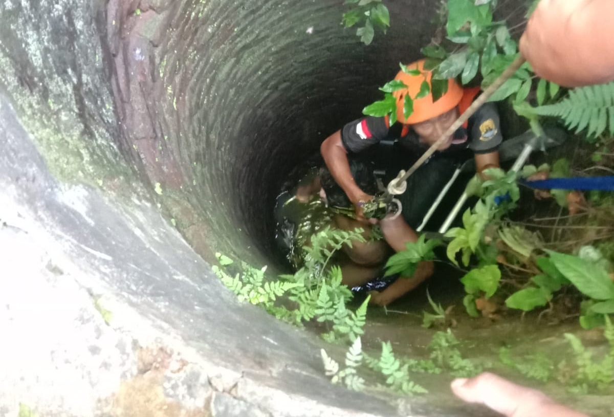 Kejar Burung, Warga Depok Tercebur Sumur Sedalam 10 Meter