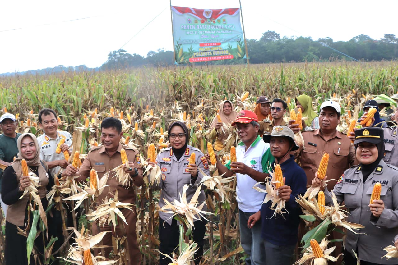 Polresta Cirebon Gelar Panen Jagung Dalam Rangka Mendukung Swasembada Pangan