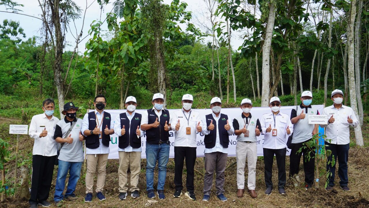PLN Peduli Dukung Pengembangan Agroforestry, Tingkatkan Dampak Positif Penghijauan