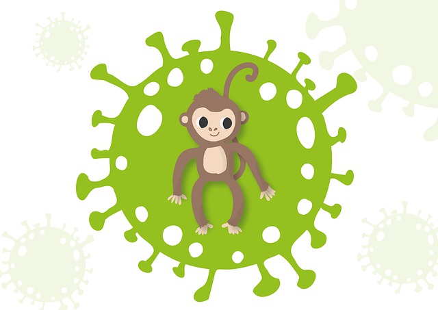 Kenali Bagaimana Cara Penyebaran Virus Cacar Monyet yang Harus Diwaspadai