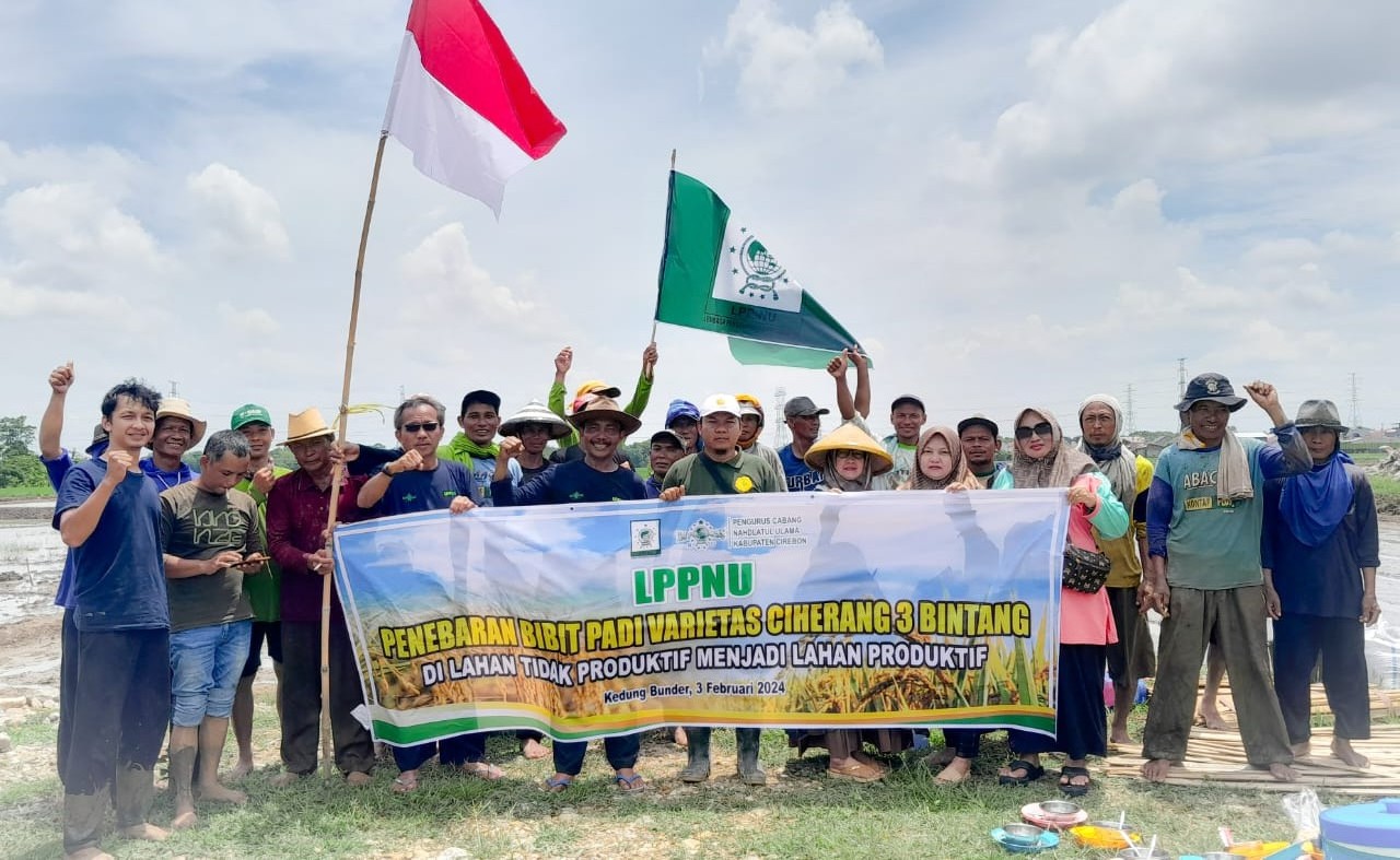 LPPNU Kabupaten Cirebon Tebar  Bibit Padi Varietas Ciherang 3 Bintang