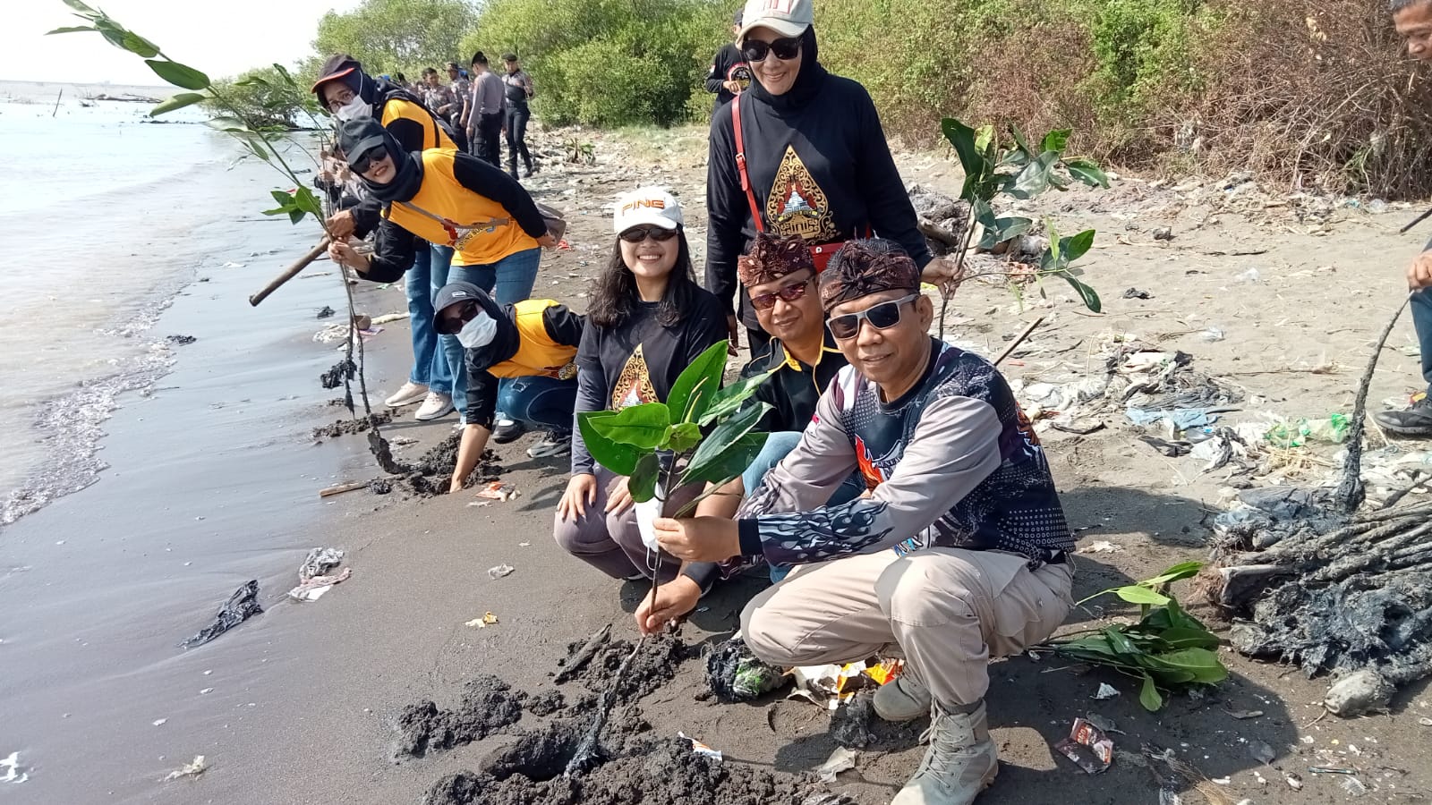 Jaga Pantai Cirebon, 10 Ribu Pohon Mangrove Ditanam