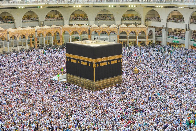 Bukan Hanya Kemenag, KBIHU dan Pembimbing  Harus Lakukan Ini Demi Suksesnya Pelaksanaan Ibadah Haji 2023