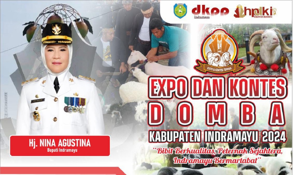 Expo dan Kontes Domba Indramayu 2024 se-Jawa Barat: Pendaftarannya Masih Dibuka, ini Detailnya! 