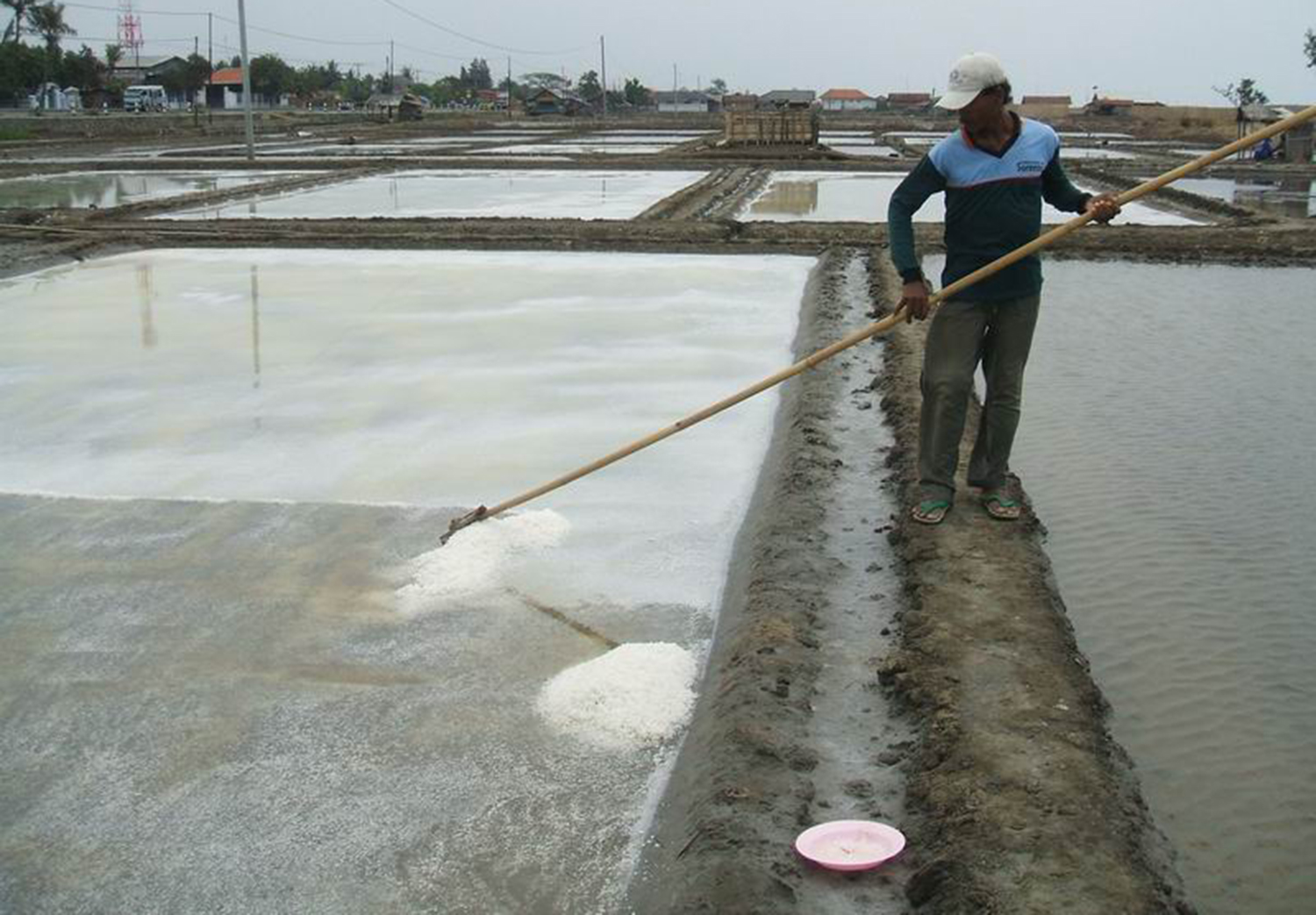 Ternyata Kabupaten Cirebon Jawabannya, Solusi Ketergantungan Garam Impor