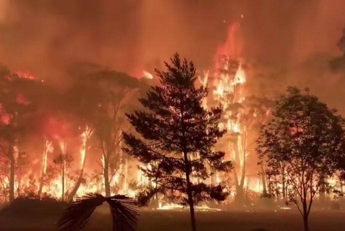 Kebakaran Hutan di Australia pada 2019-2020 Diangap Sebagai Peristiwa Terburuk dalam Sejarah
