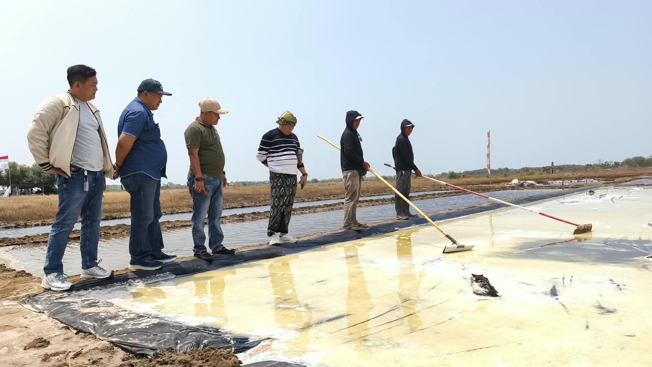 Petani Garam Pengarengan Keluhkan Geomembran Tipis, Produksi 2026 Capai 3.000 Ton