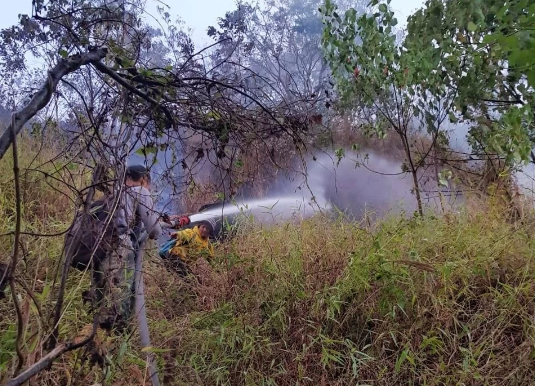 Update Kebakaran Gunung Ciremai, Api Berhasil Dipadamkan, Luas Area yang Terbakar Masih Didata