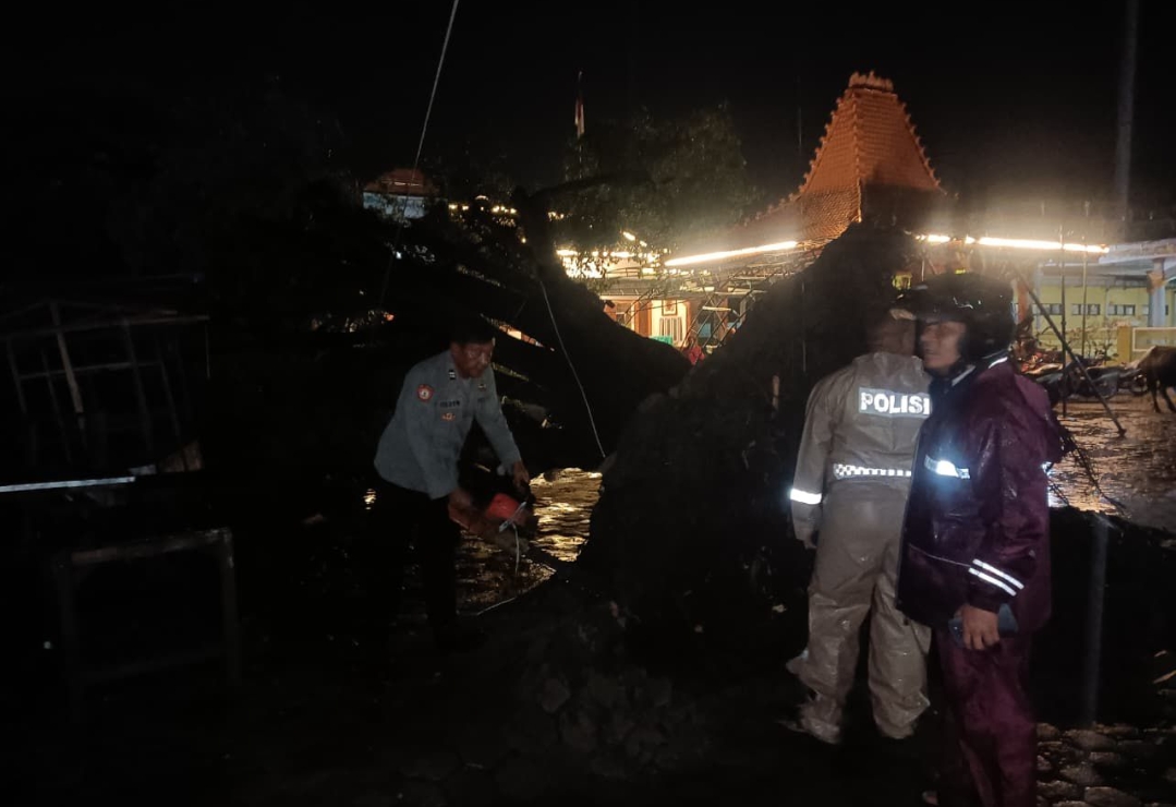 Pohon Tumbang di Suranenggala Kidul, Kapolsek Kapetakan Turunkan Personel Amankan TKP