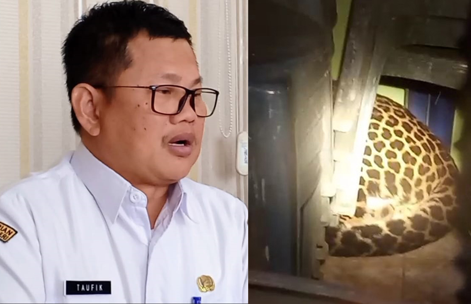 Kematian Puluhan Hewan Ternak dan Macan Tutul di Desa Kutamandarakan Jadi Misteri