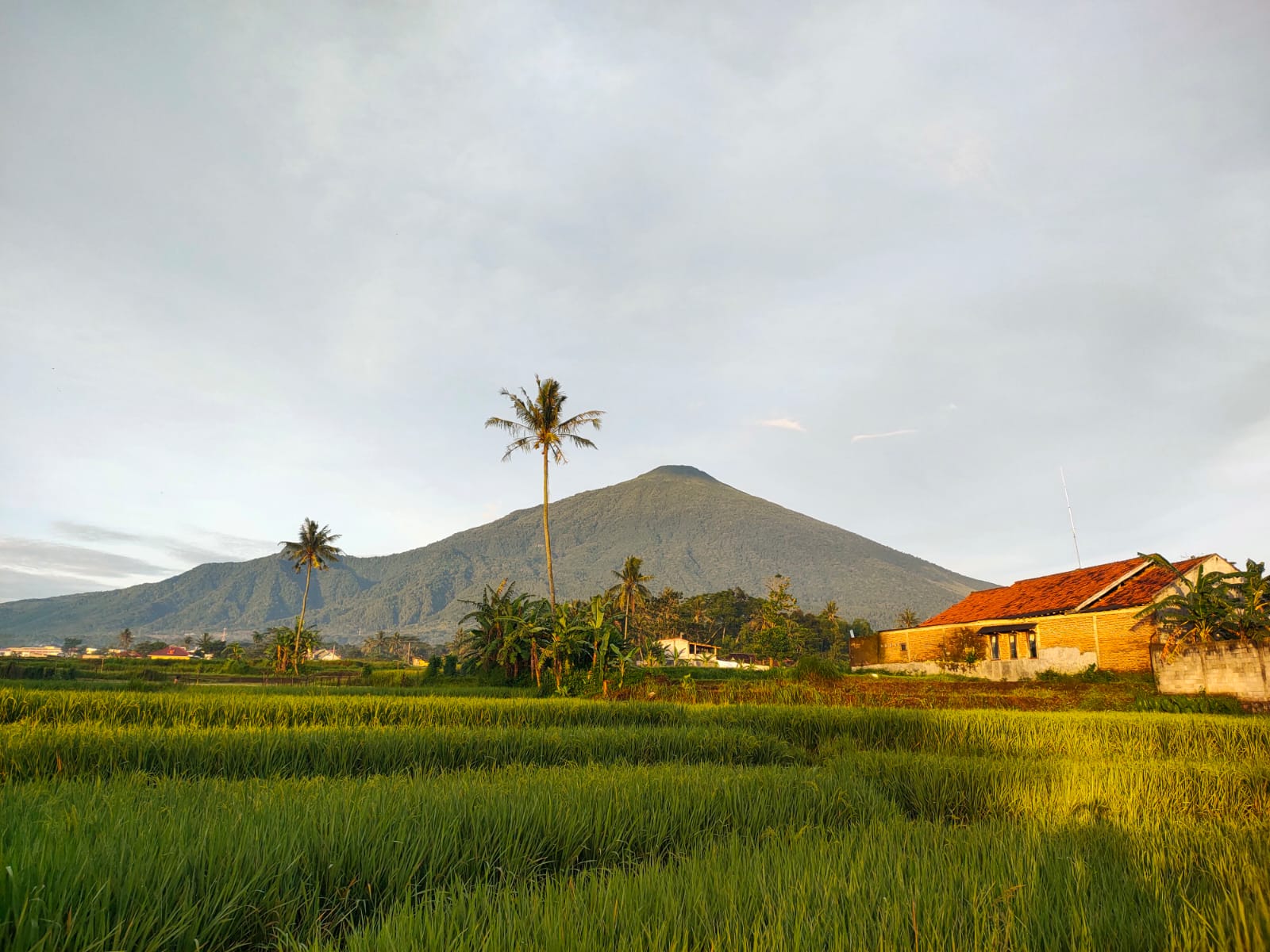 Gunung Ciremai Ditutup Mulai 6 September 2026, Booking Online Pendakian Dihentikan