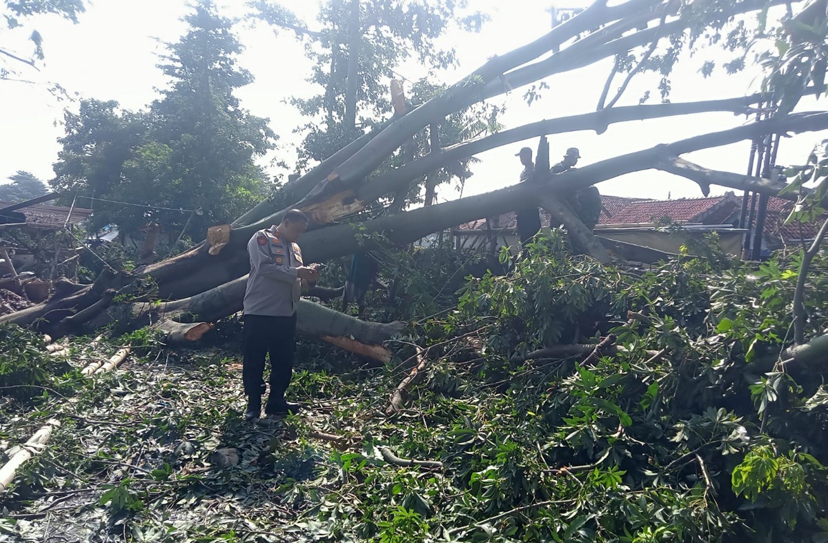 Angin Puting Beliung Terjang Mertasinga Cirebon, 128 Rumah Rusak, Ratusan Warga Terdampak