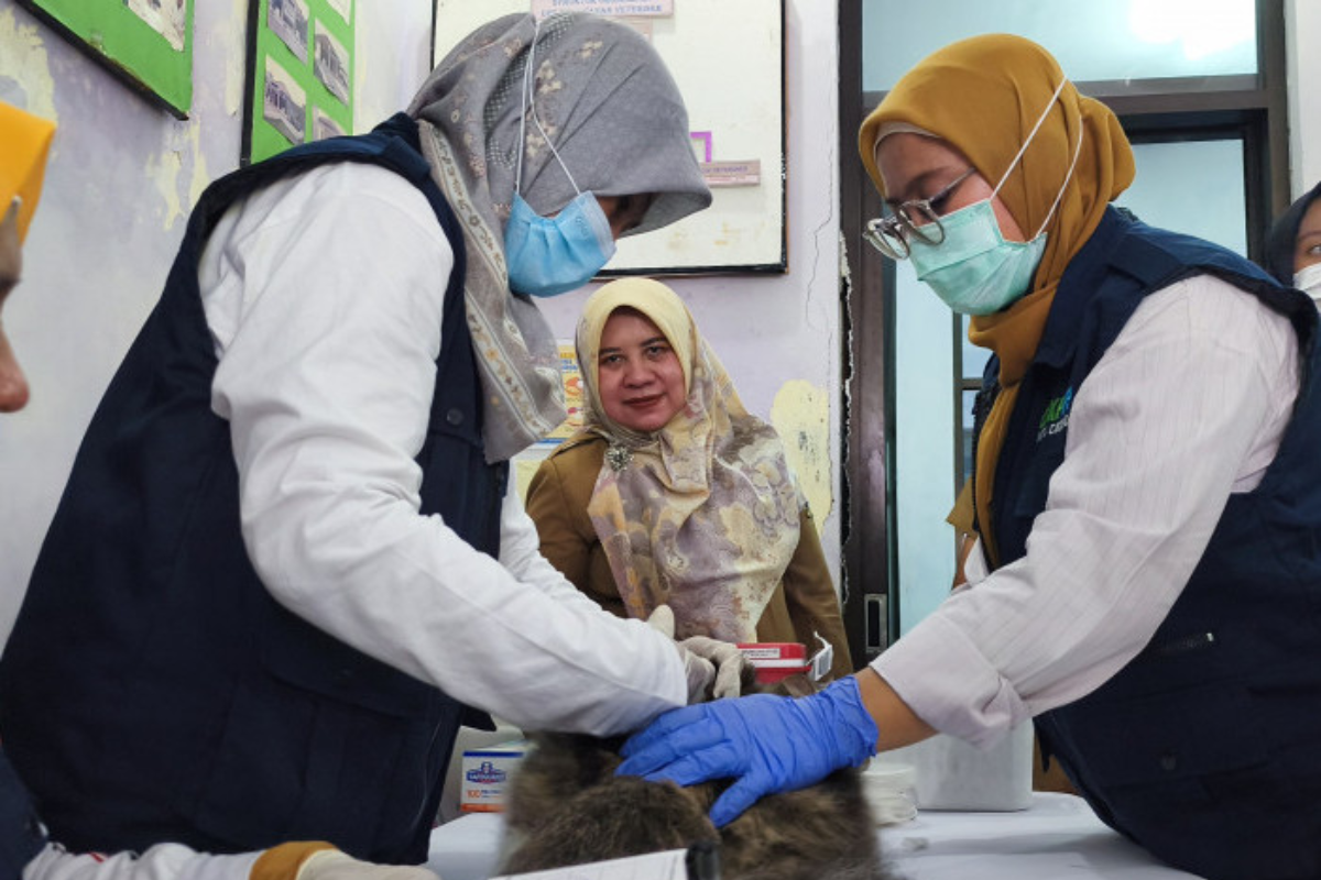 Vaksinasi Rabies Gratis di Cirebon 28-29 September 2026, Warga Luar Kota Boleh Ikut