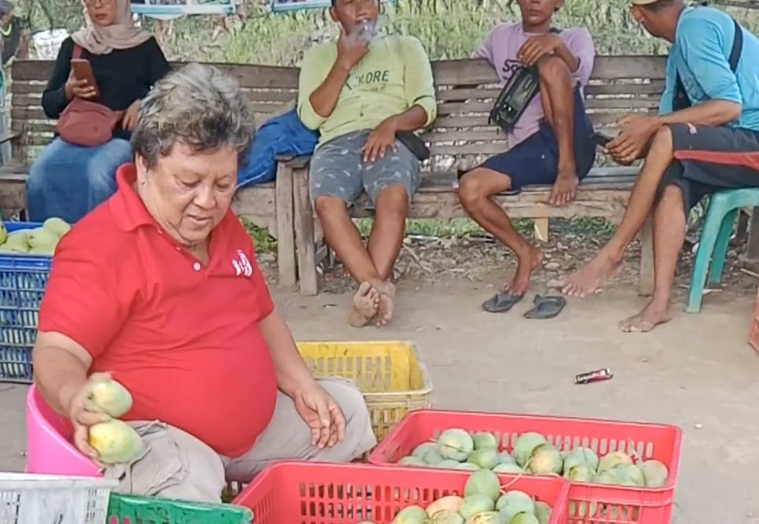 Mangga Gedong Gincu Indramayu Resmi Menyandang Sertifikat Indikasi Geografis