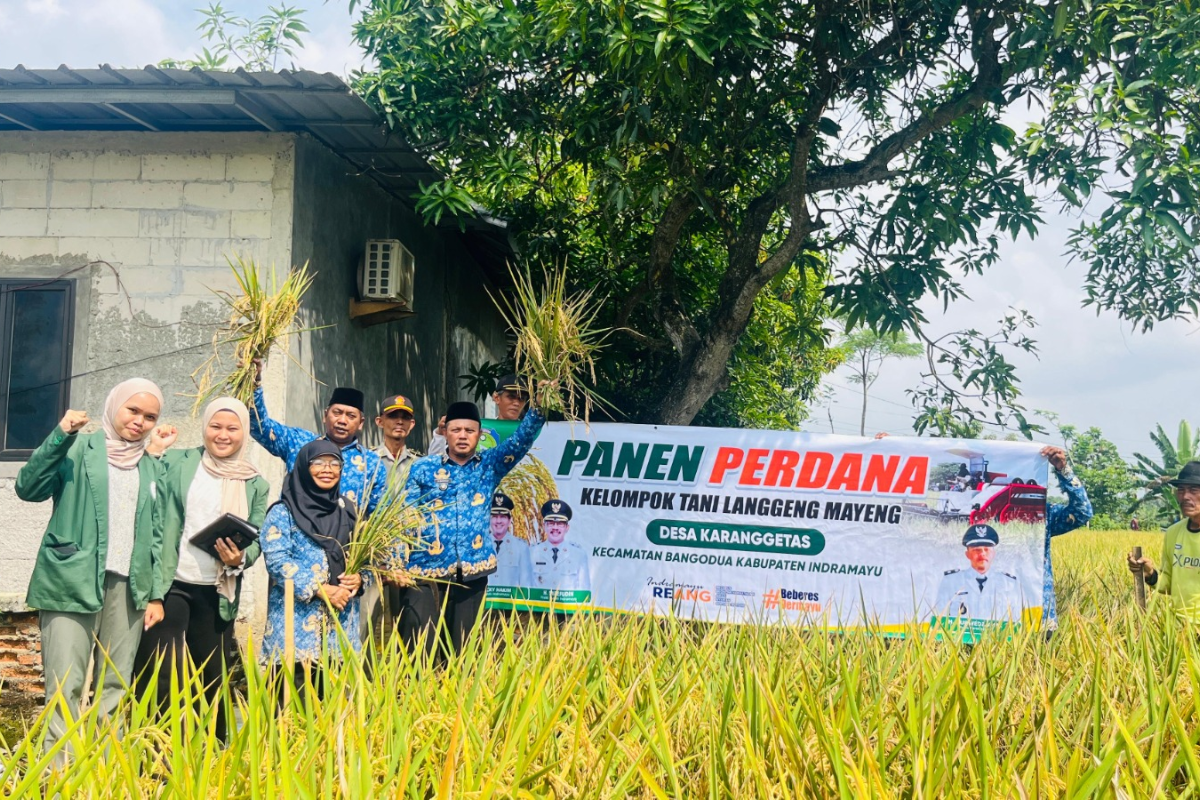 Desa di Indramayu Canangkan Program Zakat Pertanian, Potensi Dana Umat dari 628 Hektare Sawah