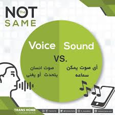 Noise vs. Voice Membedakan Kebijaksanaan di Tengah Ledakan Informasi