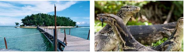 Pulau Biawak, Hidden Game Destinasi Wisata Bahari di Indramayu