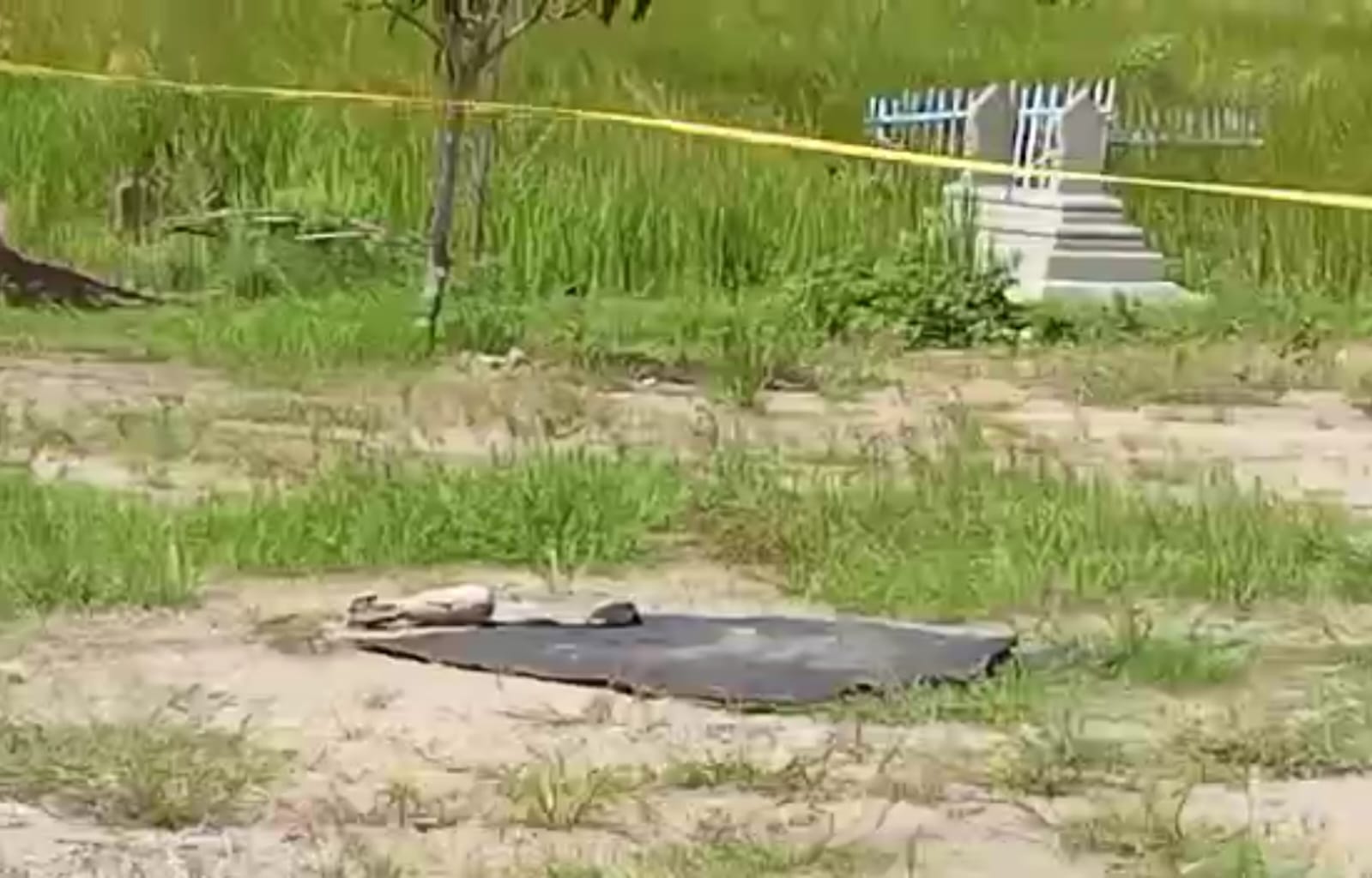 Penemuan Mortir di Desa Bungko Cirebon, Gegana Sudah di Lokasi, Mau Diledakan, Siap-siap