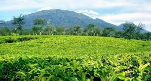 5 Rekomendasi Wisata Alam yang Wajib Kamu Kunjungi