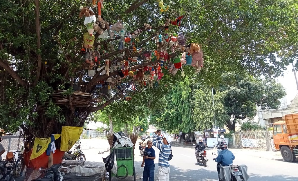 Puluhan Boneka Digantung di Pohon Beringin Jalan Perujakan Menarik Perhatian Warga, Seni atau Mistis? 