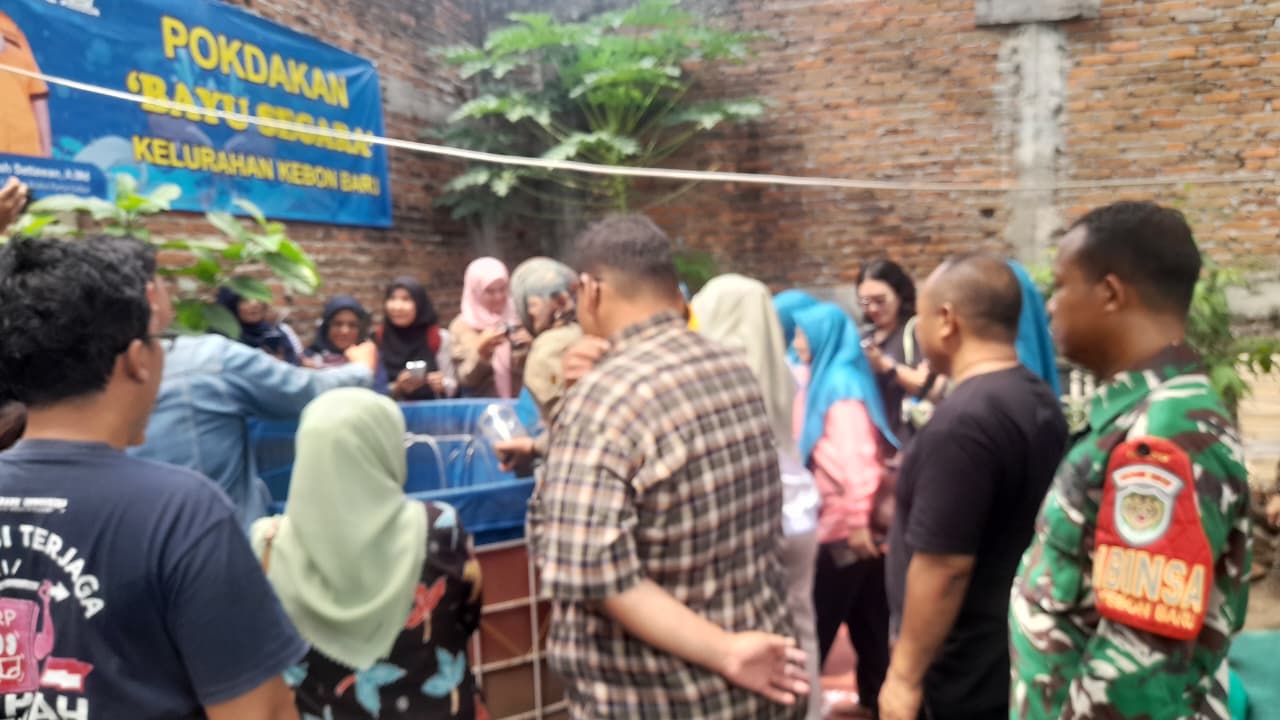 Babinsa Kebon Baru dan Bhabinkamtibmas Monitor Panen Ikan Lele Bersama Kader PKK