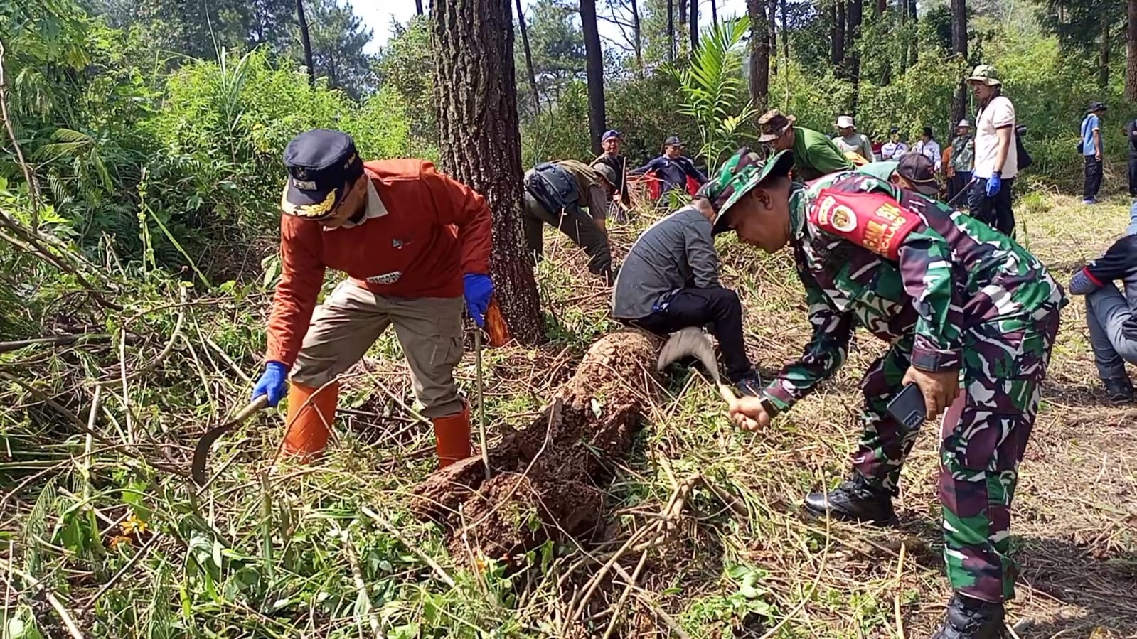 Taktik Pemkab Kuningan Antisipasi Kebakaran Gunung Ciremai, Ini Dia