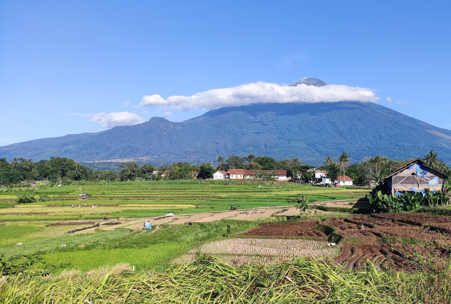 Gunung Ciremai dan Gunung Slamet, Kakak Beradik yang Kalau Meletus Bisa Bikin Pulau Jawa Terbelah