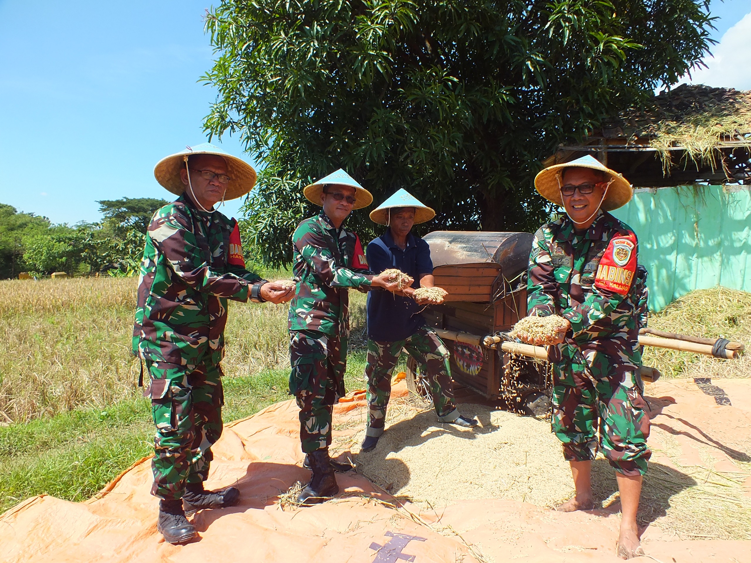 Wujudkan Ketahanan Pangan, Dandim 0614/Kota Cirebon Pimpin Panen Perdana di Lahan Poktan Sidemung
