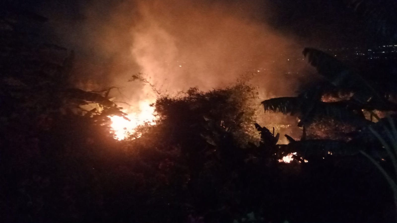 Berawal dari Bakar Sampah, Lahan Kosong Kawasan Gronggong Terbakar