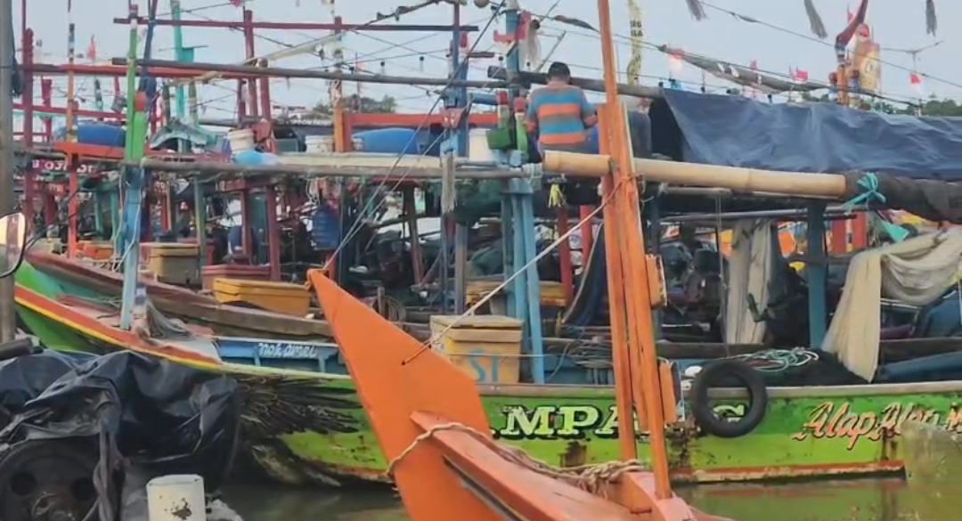 Koperasi Nelayan Mati Suri, Nelayan Cirebon Terpaksa Jual Ikan Murah ke Bakul