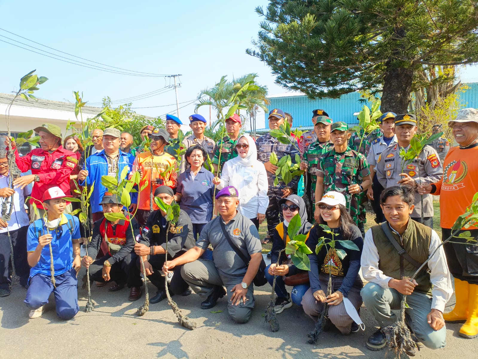 Gelar Aksi Mamo My Darling ke-5, Elemen Masyarakat Kota Cirebon Tanam 1000 Mangrove 