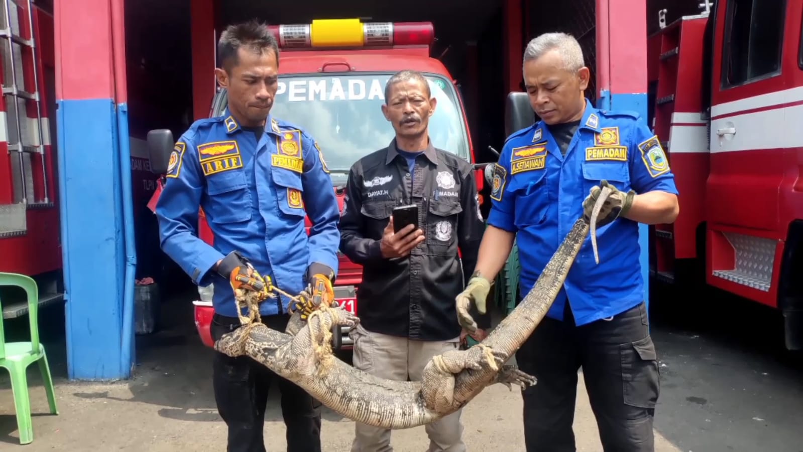 Menyelinap ke Tempat Sempit, Evakuasi Biyawak Super Berlangsung Dramatis