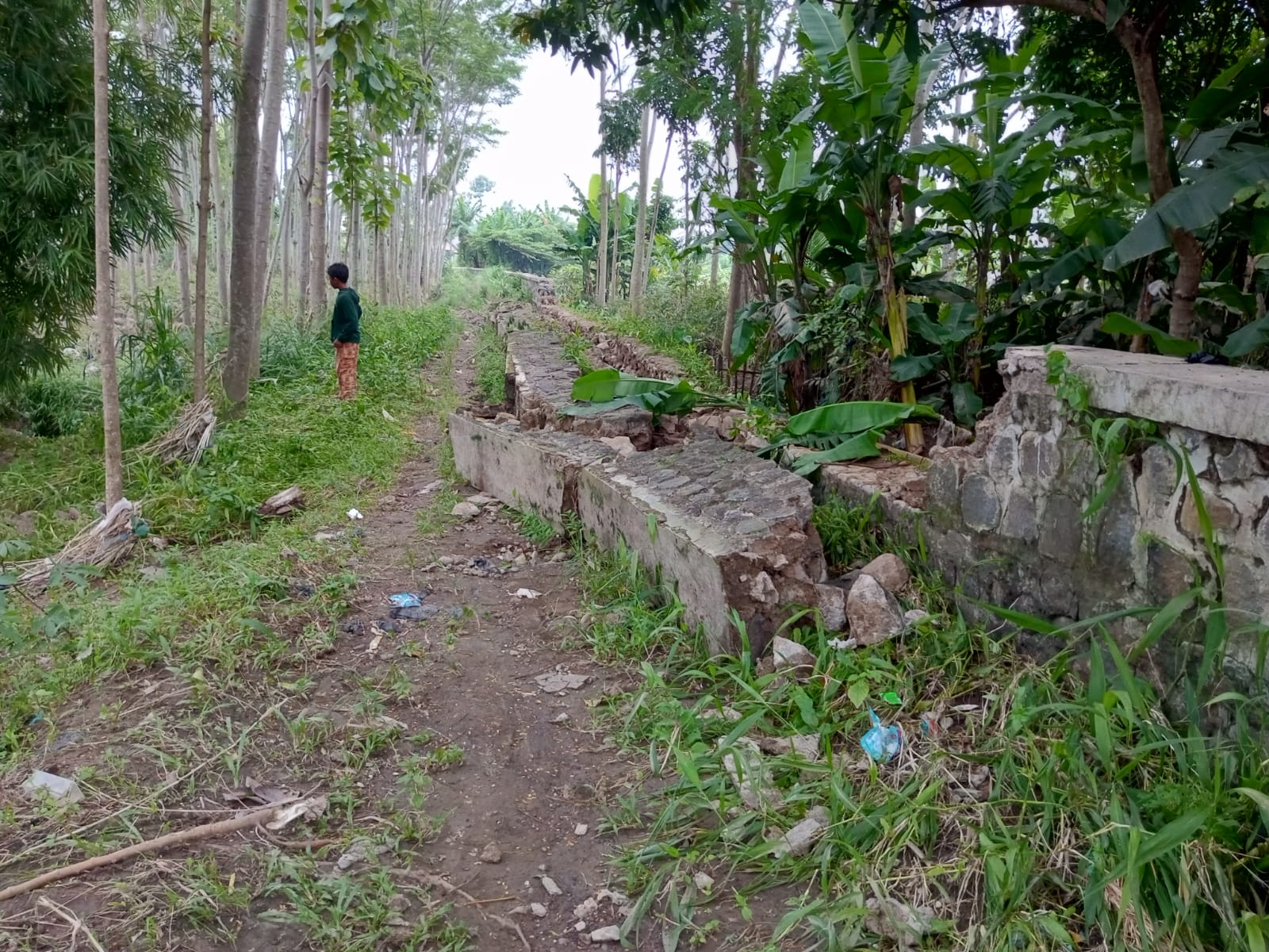 Warga Desa Jatiseeng Kidul Dihantui Bencana Banjir, Tanggul Cisanggarung Jebol