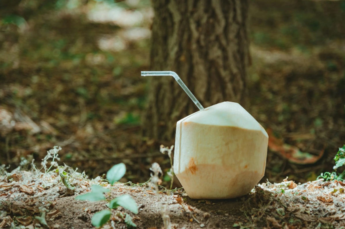 7 Manfaat Mengonsumsi Air Kelapa Muda Setiap Pagi untuk Kesehatan Tubuh