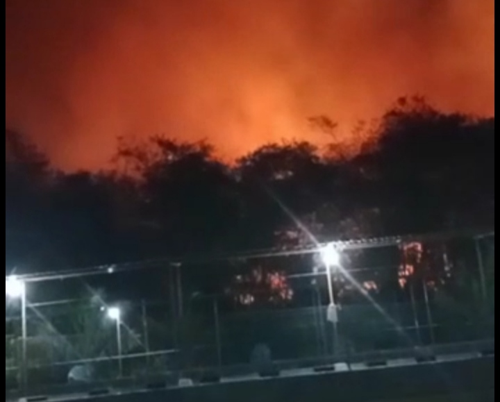 Petugas Damkar Pos Pangenan berhasil Padamkan Api di Lahan Tebu Japura Bhakti Cirebon