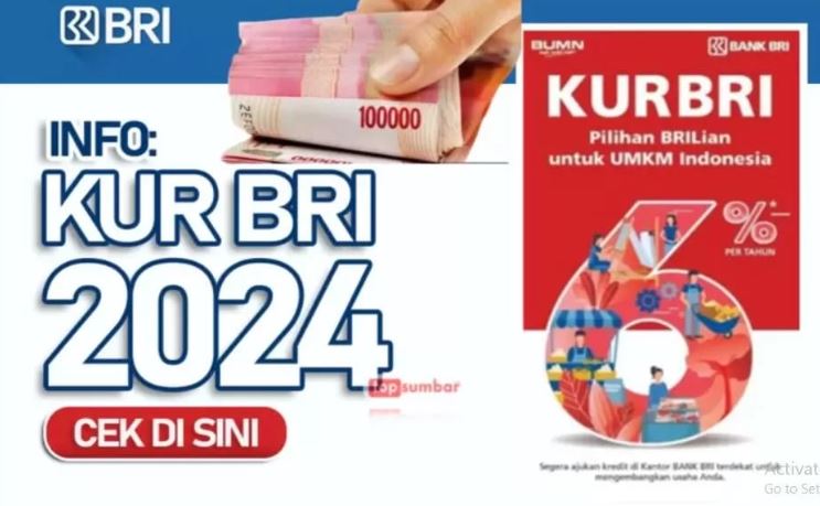 KUR BRI, Jadi 'Pahlawan' Permodalan UMKM 