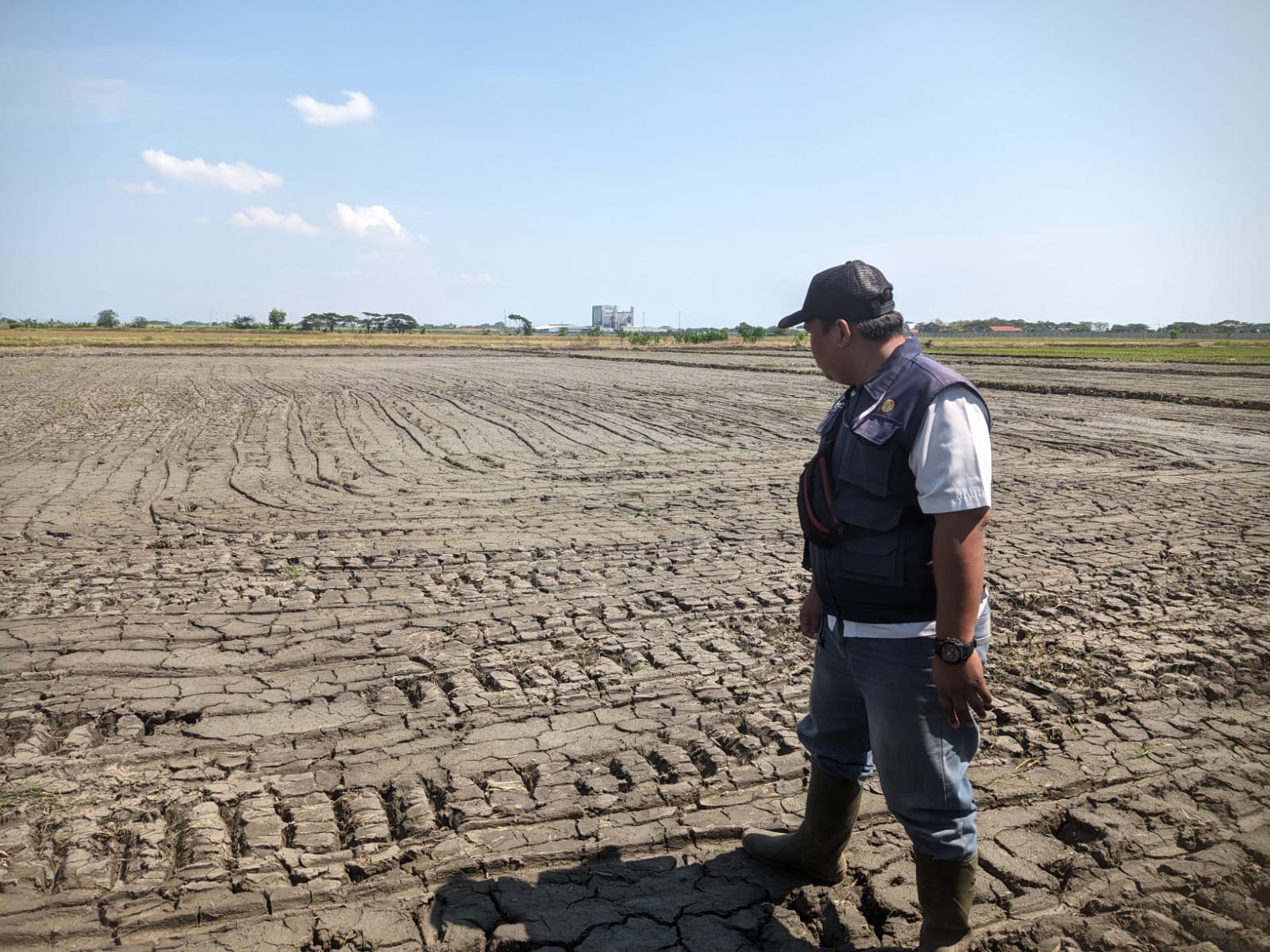 Saluran Irigasi Primer Rusak Karena Longsor, Petani di Gebang Ilir Cirebon Menjerit 