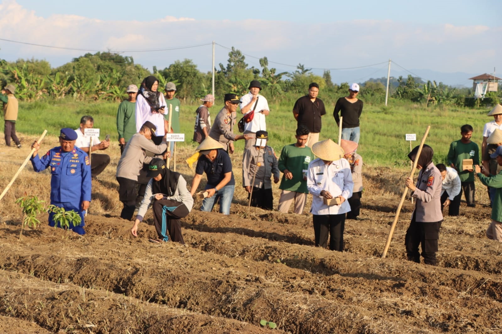 Desa Tanjunganom Jadi Lokasi Penanaman Jagung Serentak