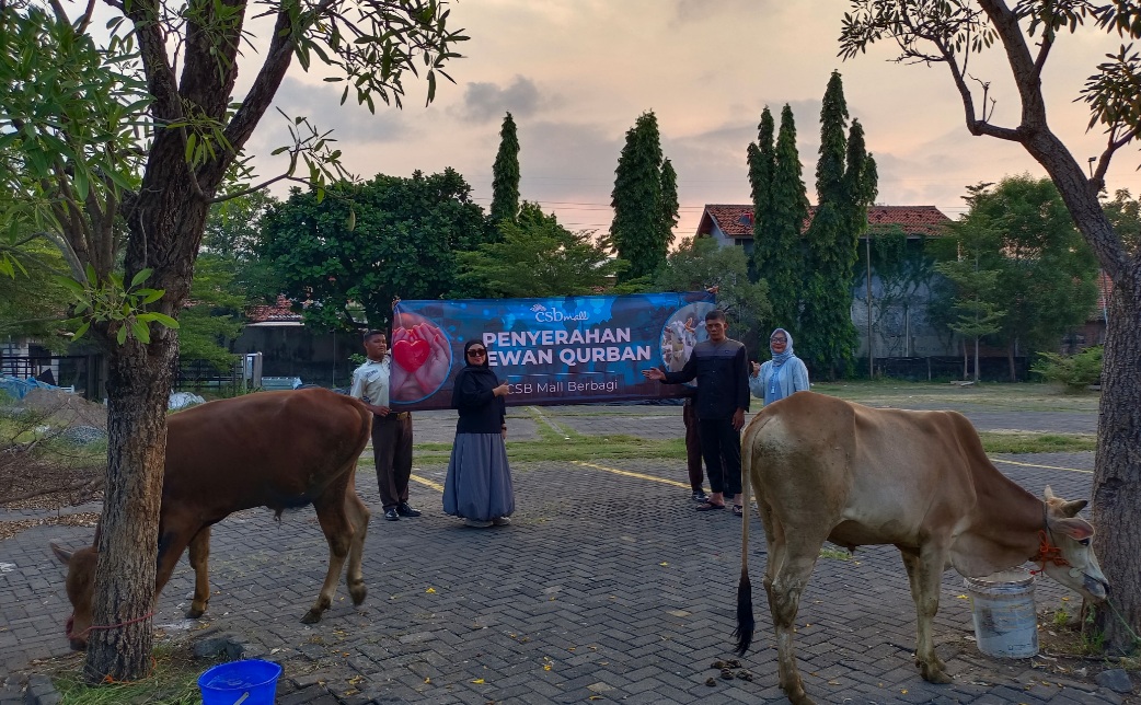 Bagian dari CSR, CSB Mall Bagikan Hewan Kurban kepada Masyarakat