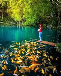 Telaga Biru Cicerem Kuningan, Surga Tersembunyi dengan Kisah Mistis Nyi Bomas Inten 