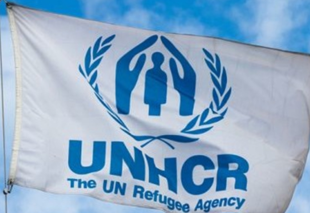 Pengungsi Rohingya Datangi Indonesia, Begini Keterangan UNHCR 