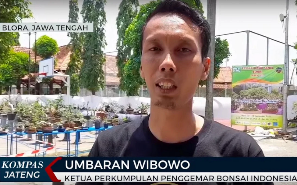 Kisah Iptu Umbaran Menyamar Jadi Wartawan Selama 14 Tahun, Aktif di Komunitas Bonsai
