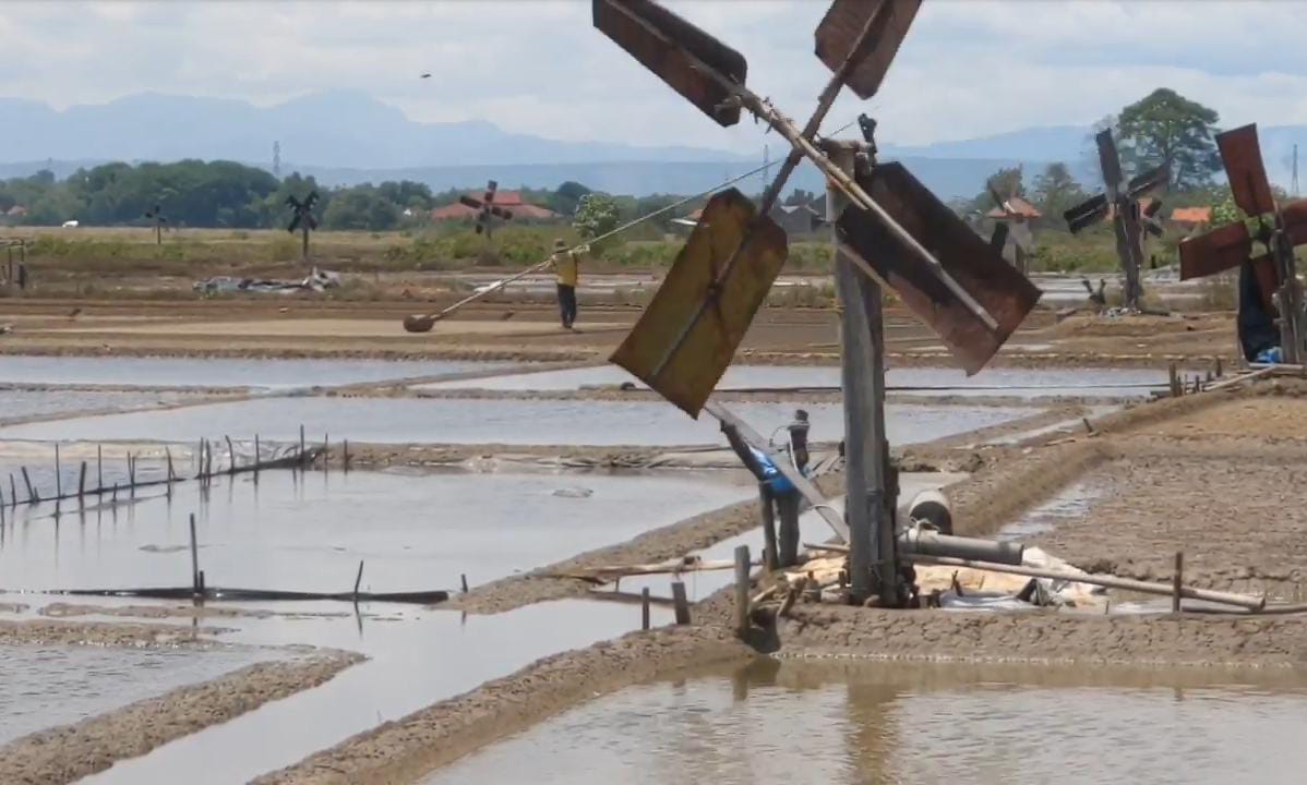 Musim Hujan, Petani Garam di Kabupaten Cirebon Tidak Berproduksi