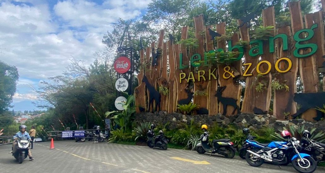 Pengelola Lembang Park and Zoom Beberkan Alasan Macan Tutul Kuningan Kabur 