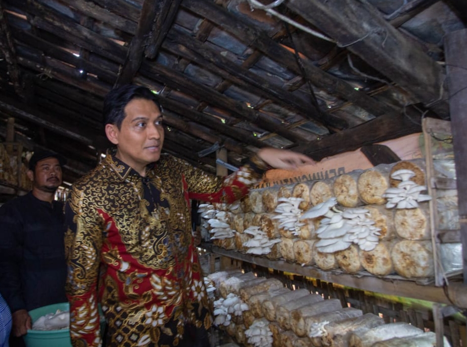 Bupati Lucky Hakim Apresiasi Lumbung Pangan Gratis dan Budidaya Jamur Desa Malangsemirang