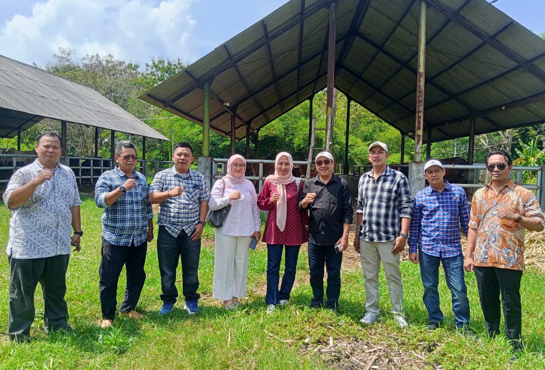DPRD Kabupaten Cirebon Tinjau Aset Ternak Sapi, Siap Dilelang dan Dikembangkan