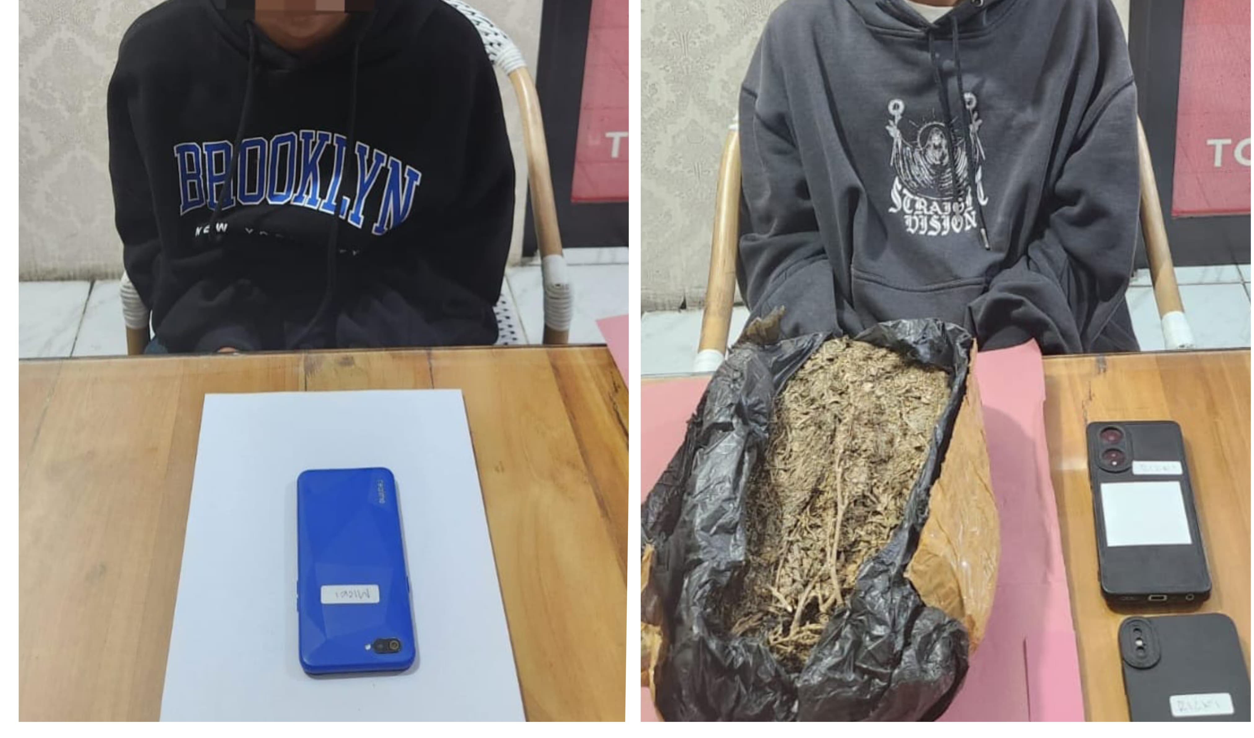 2 Pengedar Ganja Kering di Kecamatan Talun Ditangkap Polresta Cirebon, Barang Bukti 1 Kg